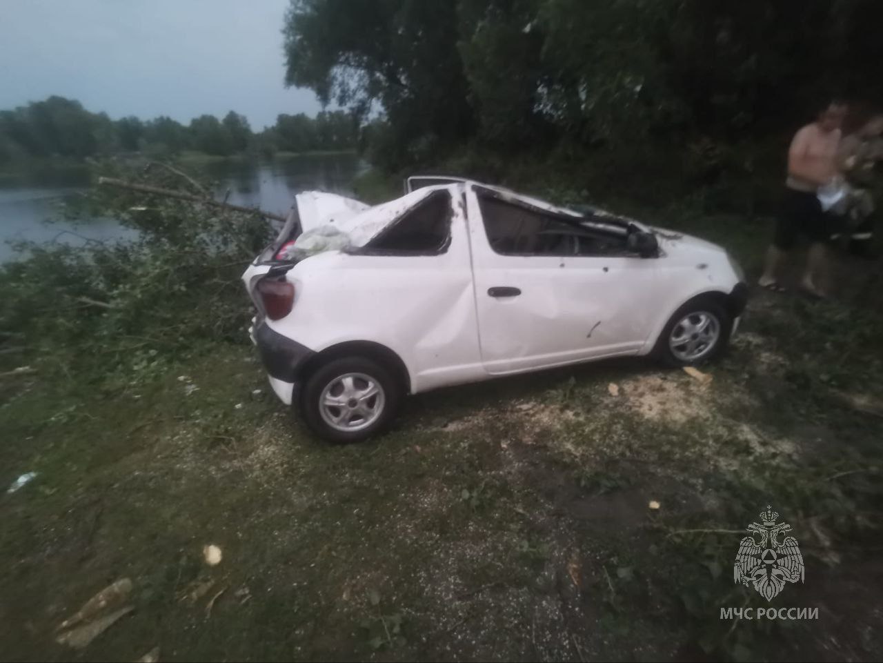 В Красноярском крае женщина и ребёнок пострадали после падения дерева на авто
