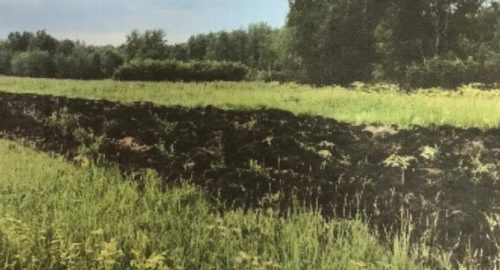 В 52 населённых пунктах Новосибирской области не оказалось противопожарных полос