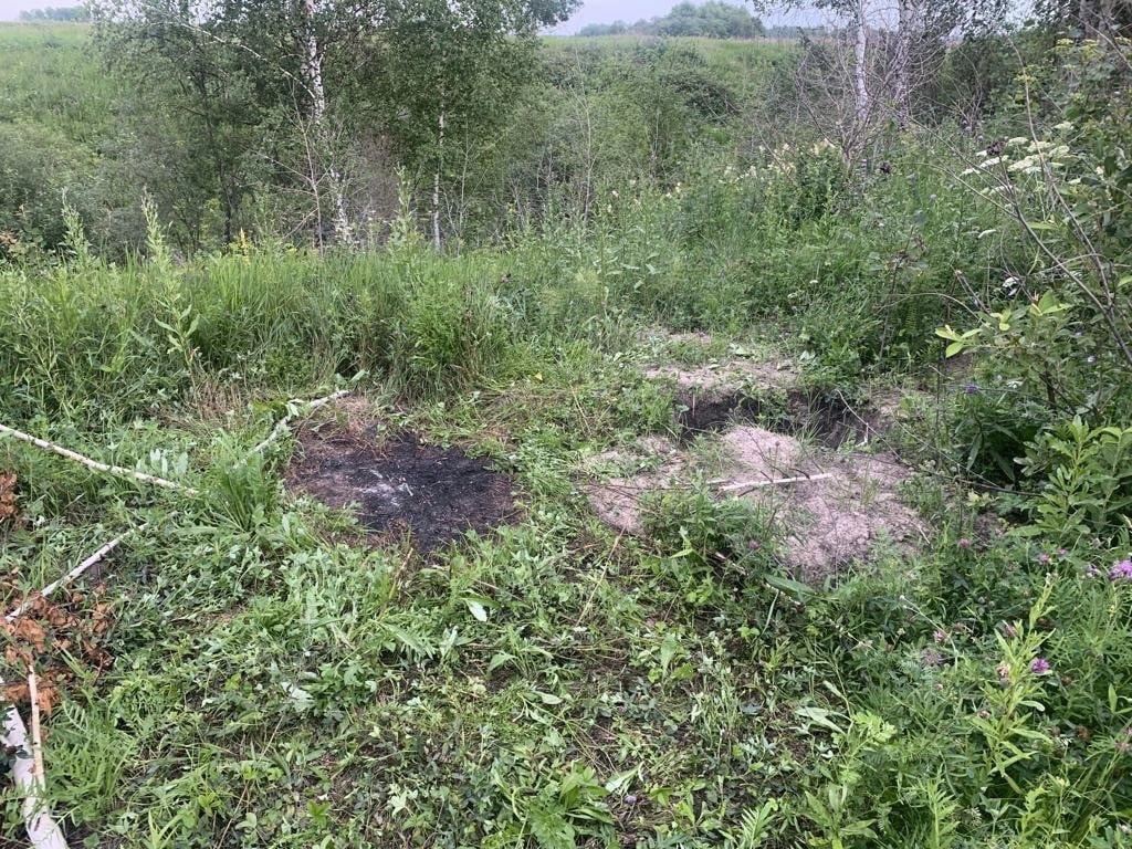 Пропавшую в Таре мать двоих детей расчленил и закопал ее муж