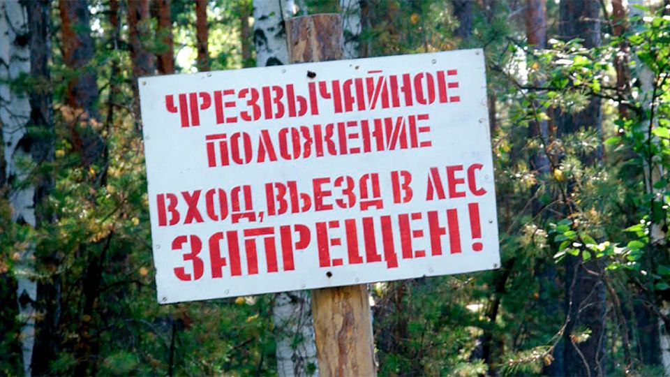Режим ЧС в лесах ввели в Кежемском районе Красноярского края