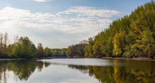В Новосибирске спасатели выявили самое опасное место для купания