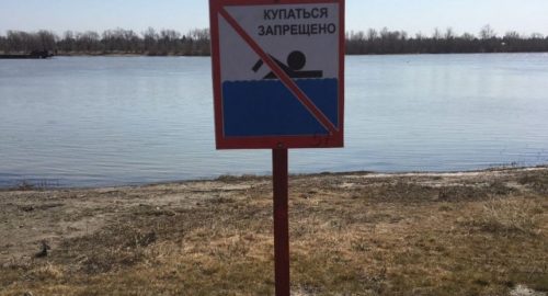 Роспотребнадзор: в воде на омских пляжах обнаружены паразиты