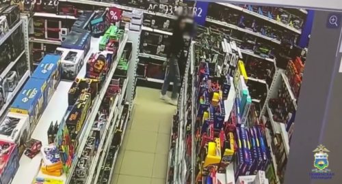 В Тюмени полиция задержала 25-летнюю девушку за кражу 25 детских конструкторов