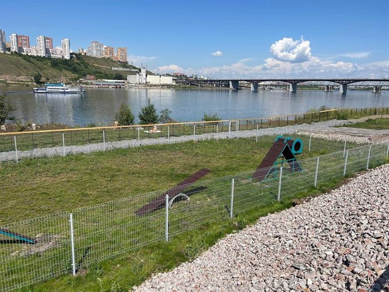 В Красноярске появилась новая площадка для собак площадью 600 квадратных метров