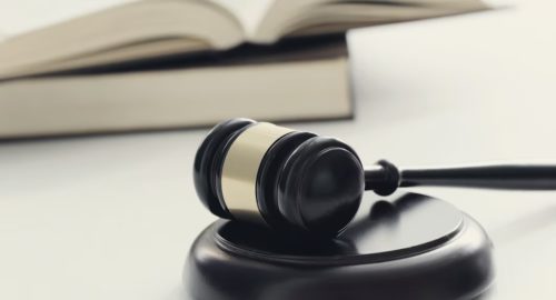 Подозреваемую в краже 136 млн рублей у Митволя отправили под стражу до 22 октября