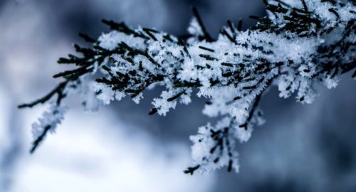 Оттепель и дожди со снегом нагрянут в Томск 4 и 5 января