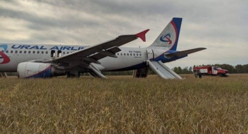Появились кадры с места аварийной посадки самолета Сочи-Омск под Новосибирском