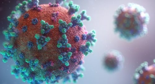 Врач Банный: В тренажерном зале можно заразиться вызывающими рак вирусами