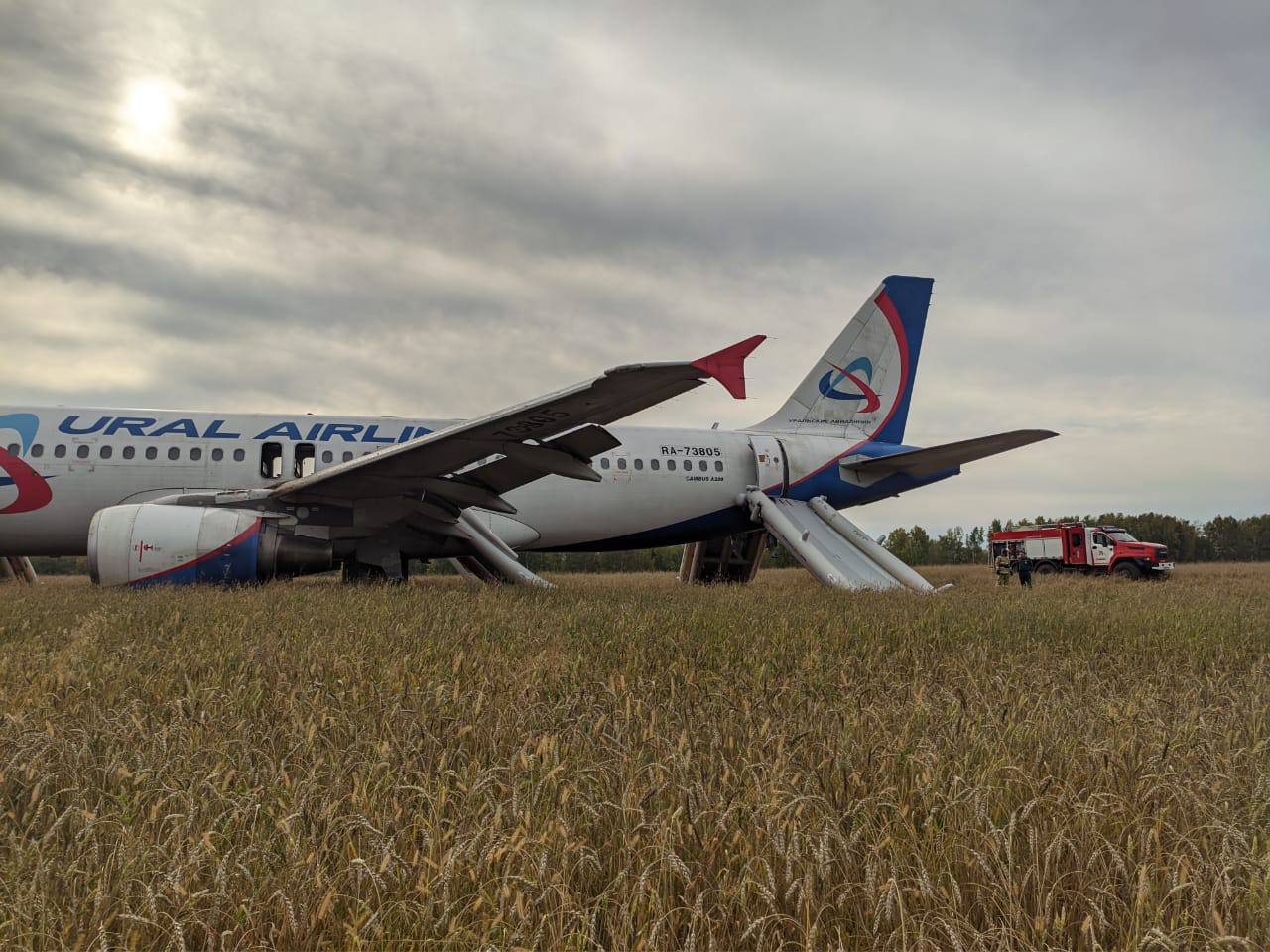 Рейс Сочи-Омск приземлился в поле из-за ошибки пилотов