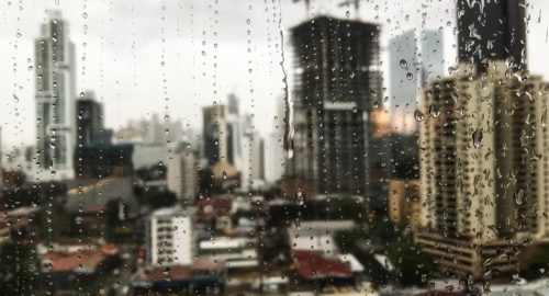 Начало лето в Новосибирске будет пасмурным и дождливым