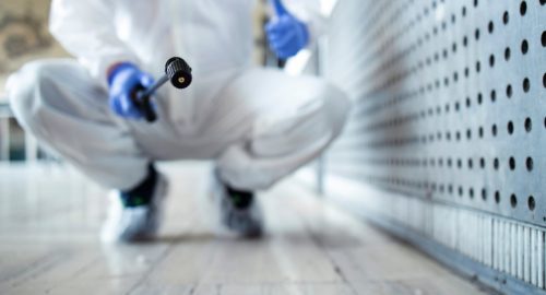 В Тюмени многоэтажный дом захватили тараканы