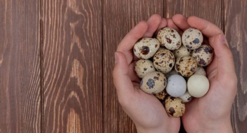 Диетолог назвала яичницу одним из самых сбалансированных продуктов