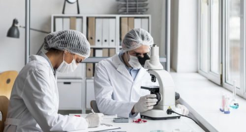 Новосибирские ученые разрабатывают альтернативу антибиотикам