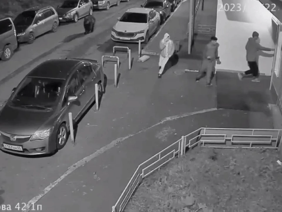 В Красноярске объявили режим ЧС из-за появления медведя