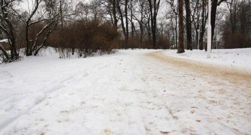 Губернатор Новосибирской области Травников призвал обработать тротуары песком