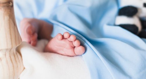 В Омской области женщина тайно родила ребенка в лесу и бросила его в кустах
