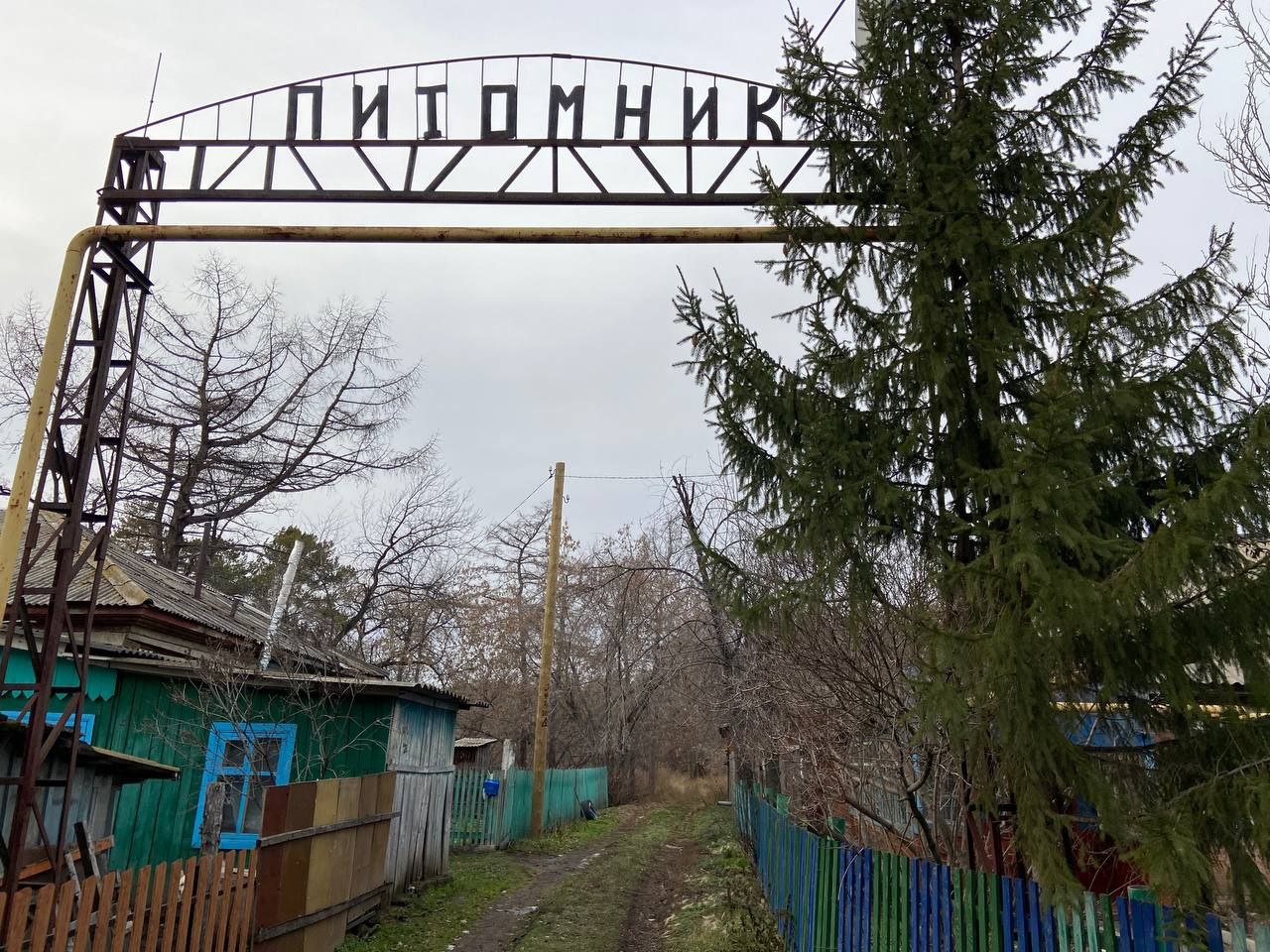 Омских чиновников заставили оформить городской лес с памятником природы