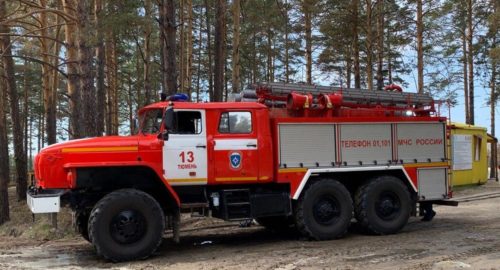 В Тюменской области ликвидировали 222 лесных пожара за 2023 год