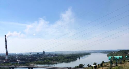 Томский бизнесмен получил штраф за сброс туш и голов скота в реку Томь