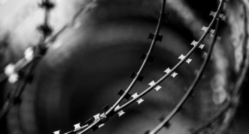 Томича приговорили к 7 годам колонии за закладки наркотиков в камнях