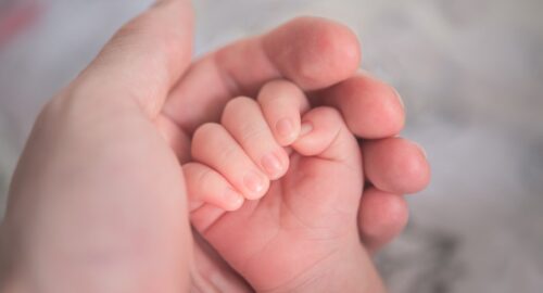 В Томской области в ноябре родились более 600 детей