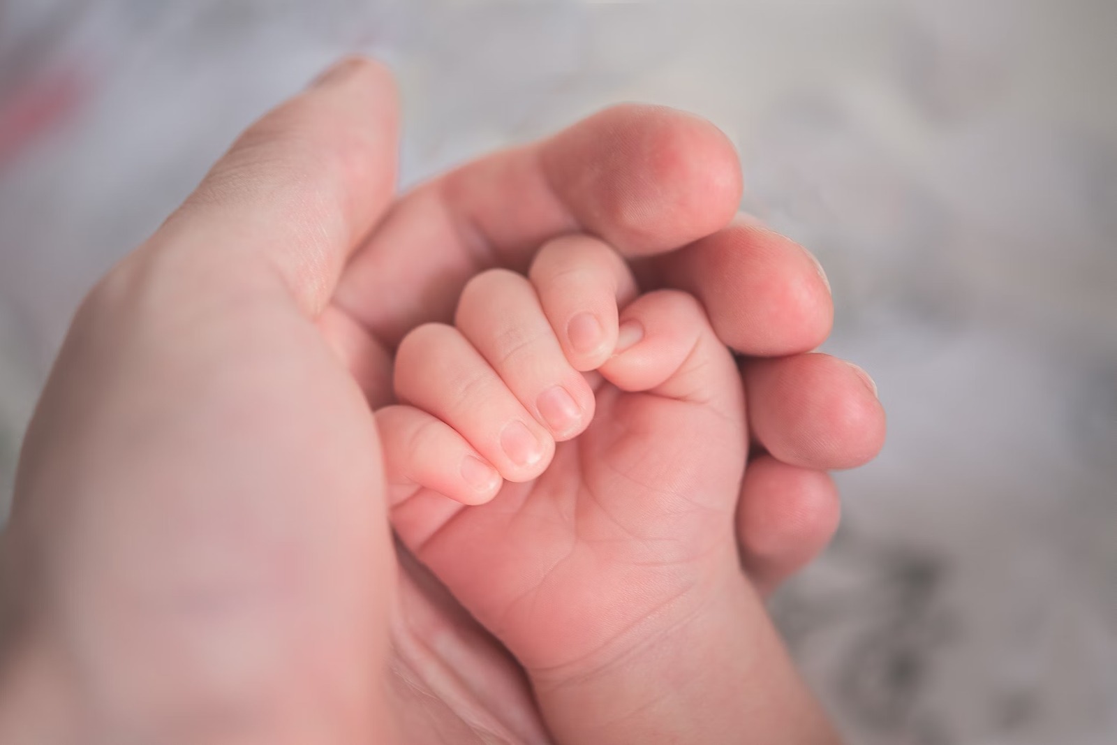 В Томской области в ноябре родились более 600 детей