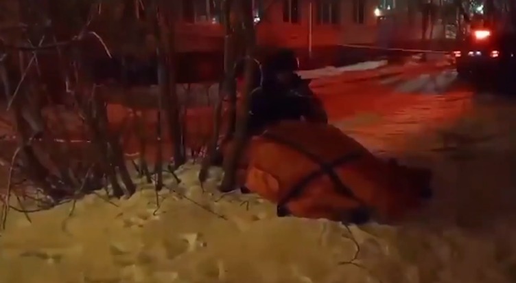 В Новокузнецке возле многоквартирного дома взорвалась граната