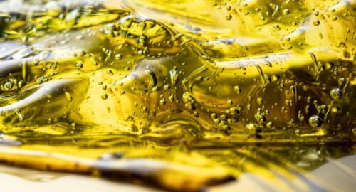 Компания из Новосибирска расширяет поставки растительного масла на азиатский рынок