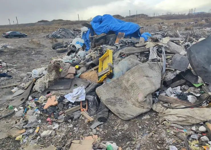 В 2024 году в Красноярске расчистят от свалок Советский район