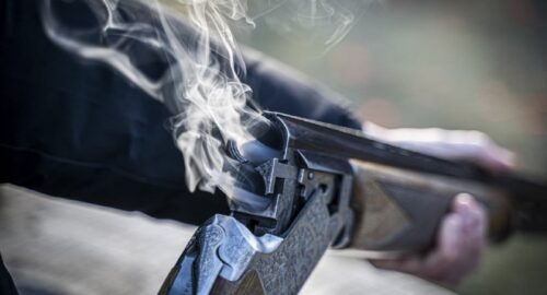 В Новосибирске с 6 апреля начался весенний сезон охоты