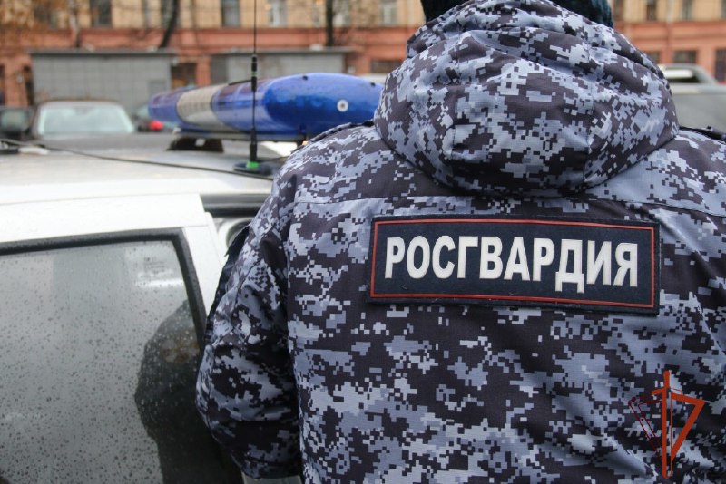 Росгвардия удостоена Премии Рунета