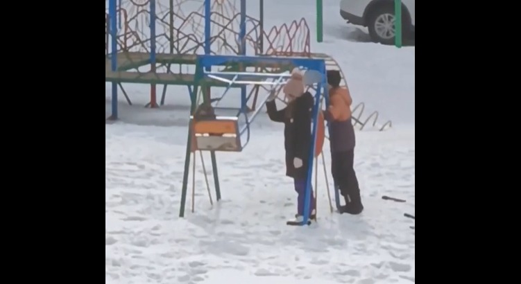 В Прокопьевске на игровой площадке дети насильно качали кота