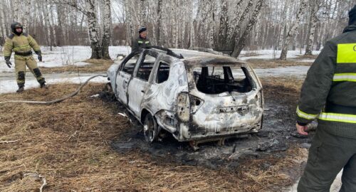 В Омске на Московке произошло возгорание автомобиля