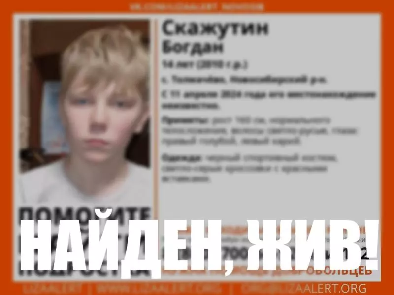 Пропавшего мальчика с разноцветными глазами под Новосибирском нашли живым