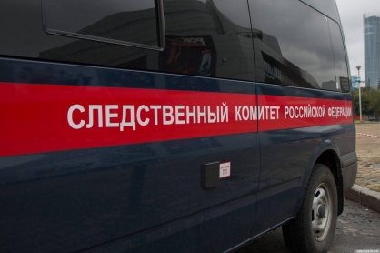 Женщину, голову которой нашли в Серове, убили вместе с сыном