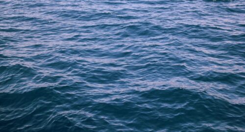 В Минтрансе ответили на вопрос о появлении водного транспорта в Кемерове