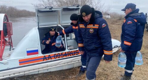 Более 250 дачных участков в Новосибирской области погрузились под воду
