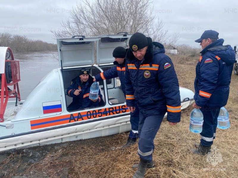 Более 250 дачных участков в Новосибирской области погрузились под воду