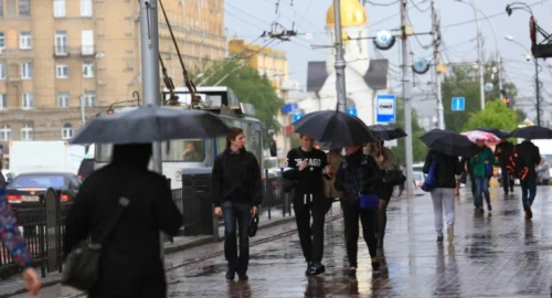 В Новосибирске из-за сильного ливня и ветра рухнули более 10 деревьев