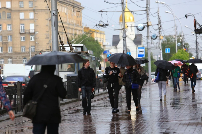 В Новосибирске из-за сильного ливня и ветра рухнули более 10 деревьев