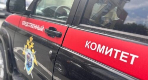 Следственный комитет проверит детский центр в Томске по статье «Халатность»