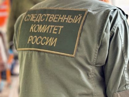В Кузбассе нашли убитой пропавшую 12-летнюю девочку
