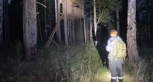 В лесах Томской области волонтеры установили указатели