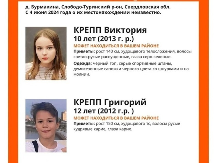 Новосибирские волонтеры ищут пропавших детей в Свердловской области