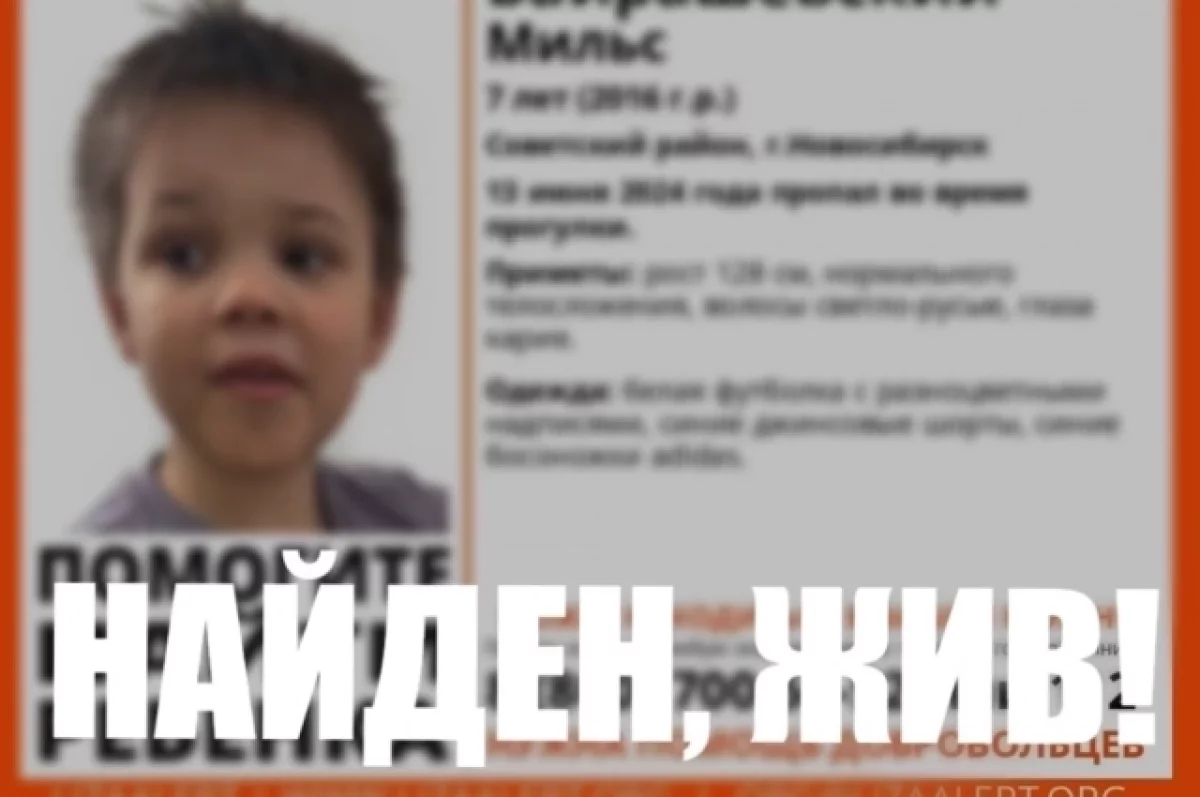 В Новосибирске семилетний ребенок исчез с детской площадки