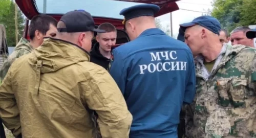 Женщина, вышедшая на прогулку с собакой, без вести пропала в Барнауле