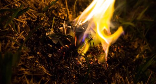 В Томской области продлили пожароопасность 4 и 5 классов