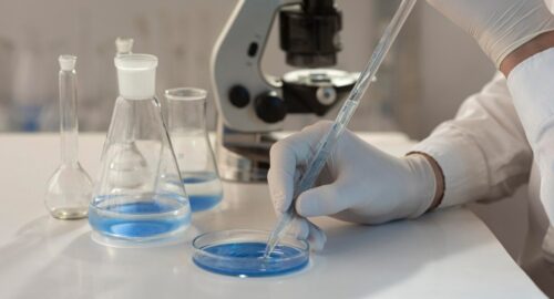 Грант в 960 миллионов рублей выделен научному центру в Новосибирске