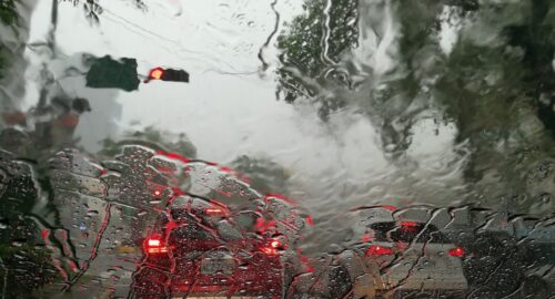 Стал известен предварительный прогноз погоды на август для Новосибирска