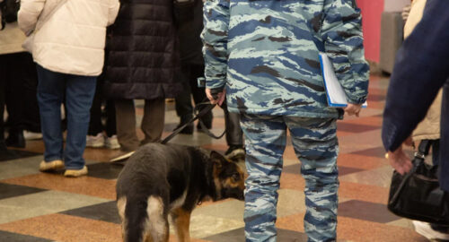 Новосибирец заложил в ТЦ муляж взрывного устройства, чтобы проверить работу МВД